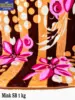 Design:07