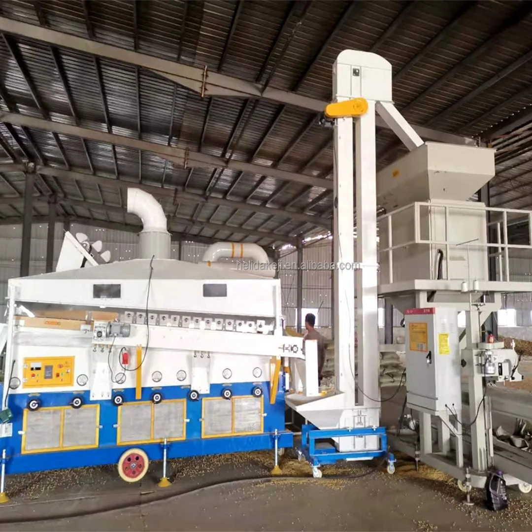 Pinto Bean Cleaning Grading Processing Plant Packing Machine