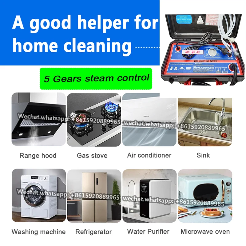 Ozone Portable Steam Cleaner Machine 110V 1700W 220V 3500W High Temp Steaming Machine for Car Detailing Household Dirt Removal