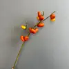 Little golden pumpkin-orange red