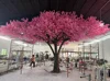 Pink4