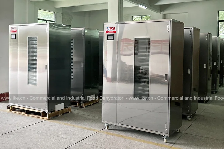 Sausage Drying Machine for Commercial Use/ Industrial Meat Dehydrator -  China Meat Dehydrator, Dehydrator
