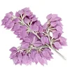 Morado