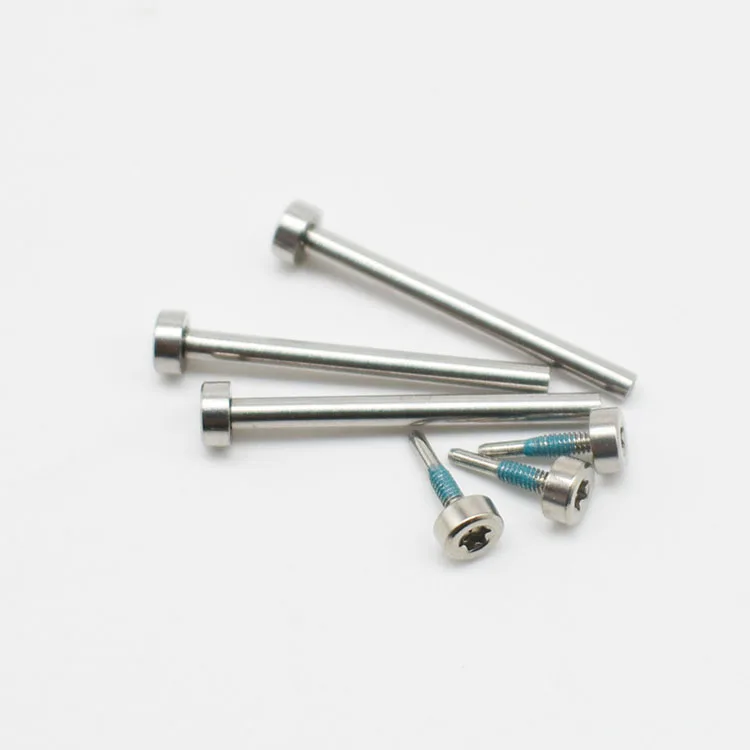 Custom Stainless Steel case Lug Strap Band Connecting Torx T6 Chicago Screw for Watch