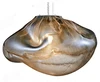 Ambra-D11,81"(pollici):D30cm