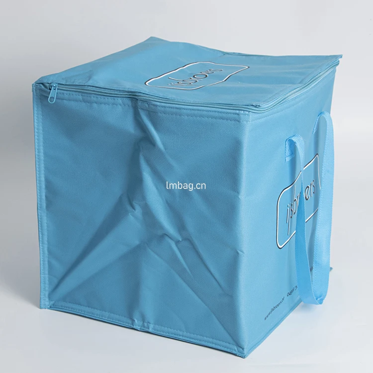 Custom Food Thermal Insulation Bags For Ice Cream Cooler Bag Buy Ice