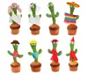 cactus y varios accesorios