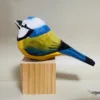 Blocchi di legno multicolore colorati