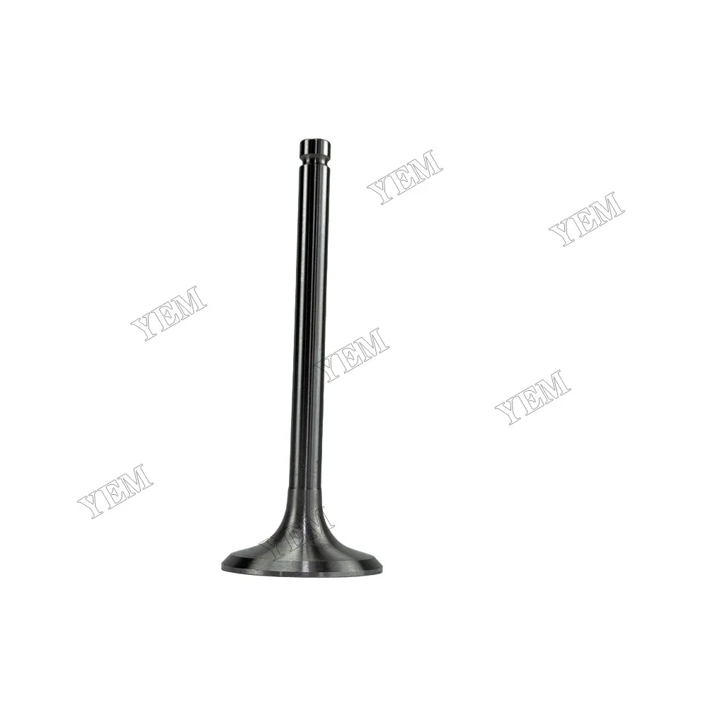 Intake Valve Fit for New Holland SNH4105 Engine 4