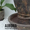 Brown Rust