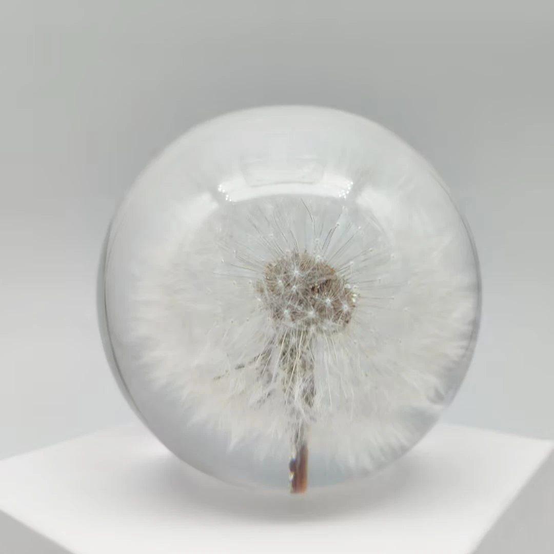 Custom Embedded Real Dandelion Resin Ball Epoxy Resin Craft Flower Decoration Plant Ornament Paperweight Glass Crystal Ball Gift
