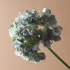 Menthe