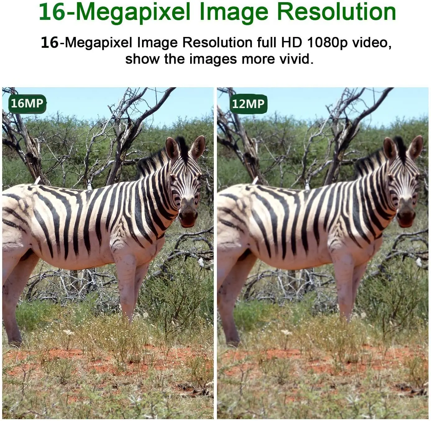 16 MP 20 MP Non-Wireless Hidden Trail Camera for Outdoor Hunting Farm  Security Warehouse Surveillance