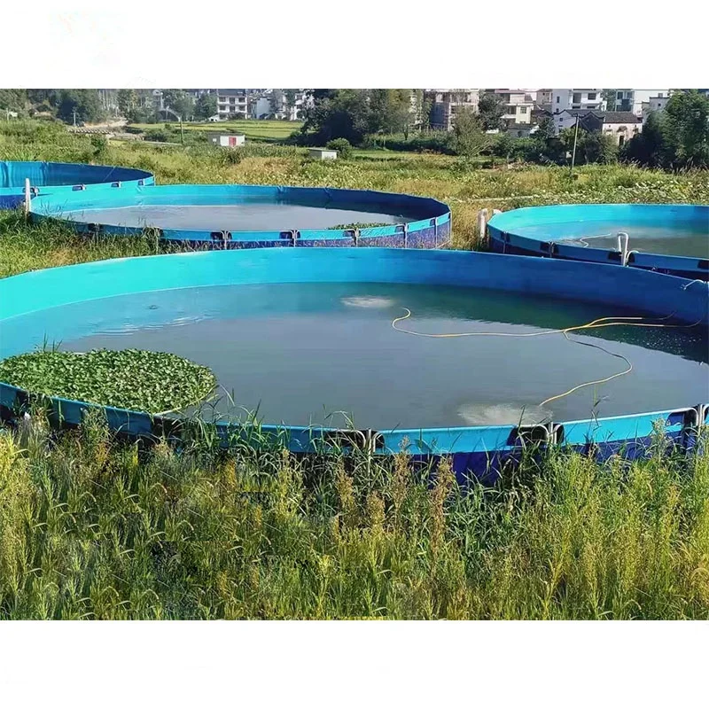 Factory Customized PVC Canvas Fish Tank Tarpaulin Fish Farming Transparent Canvas Outdoor Fish Pond
