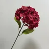 Single hydrangea-Red