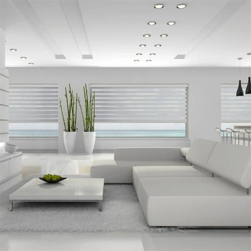 直接広州工場段ボール折りたたみ電気ゼブラローラーブラインド日焼け