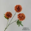 3-headed chrysanthemum