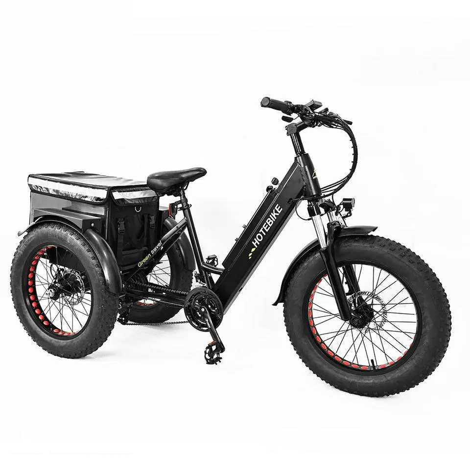 ３輪自転車 ET350 Electric Fat Tire Tricycle for Adults with 36V Motor