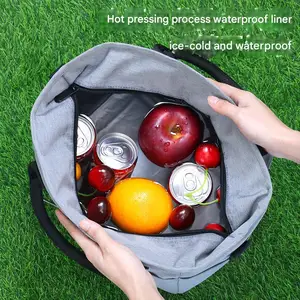 Eastshine New Portable Insulated Lunch Bag with Rice, Portable Lunch Box Bag, Picnic Waterproof Cooler Bag