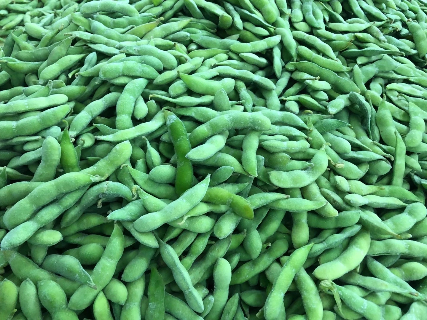 Bulk Cooking Soybeans Frozen Edamame Shelled In Pods Iqf Freezing