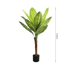 Pianta verde perenne in vaso a 12 foglie