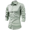 Camicia verde chiaro