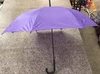 Violetto