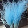 Azzurro di cielo