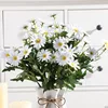 Daisy001