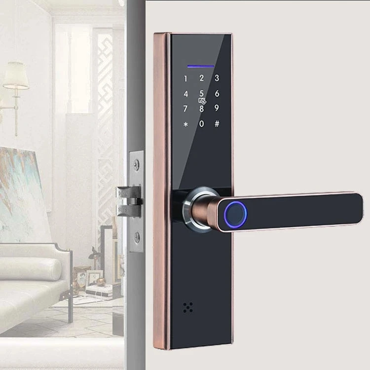 Smart Mortise Lock Body for Wifi Smart Door Lock - Stainless Steel ...
