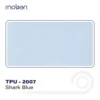 Requin Bleu