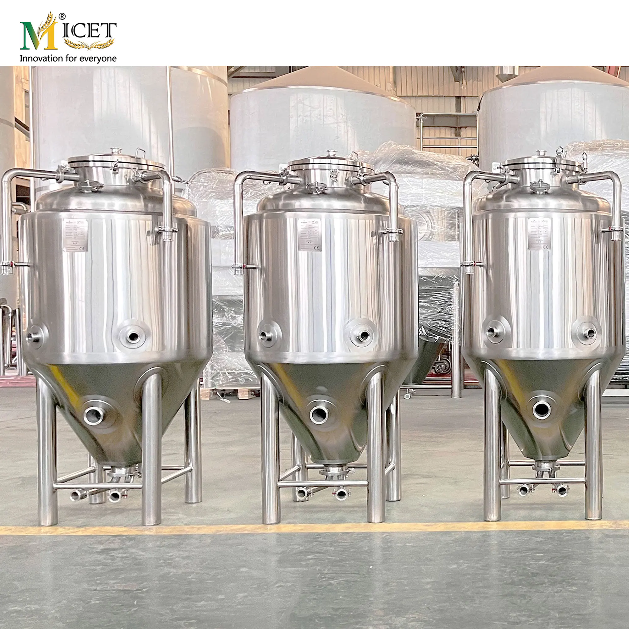 1bbl Fermenter Conical Beer Fermenter for turnkey Project hot sell in  Philippines
