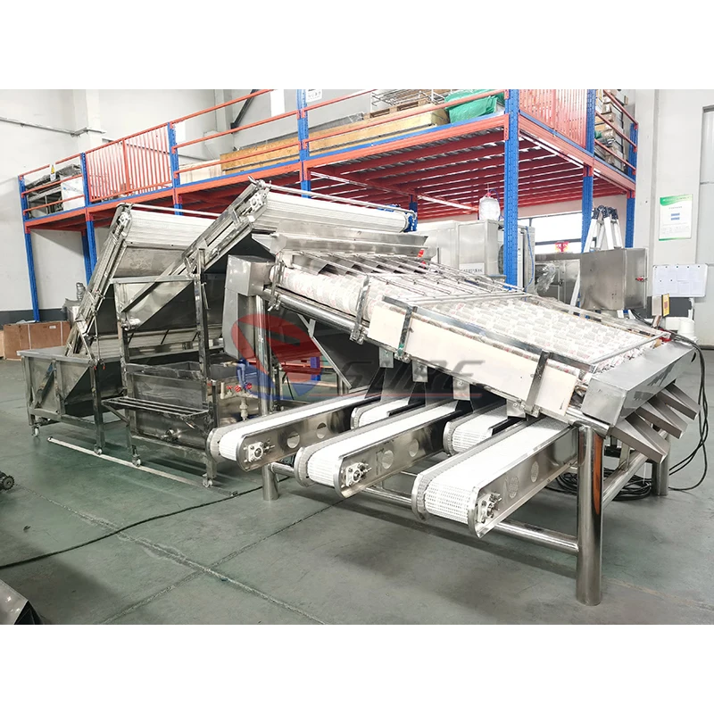 Grading Machine Grader Price Live Fish Grader