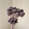 Taro purple
