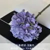 Ortensia ottilica viola chiaro
