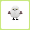 White Fluffy Little Chubby Choo-Choo - Titmouse