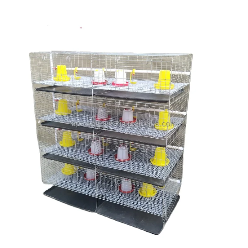 Automatic Chicken Breeding Equipment  Galvanized Vertical Chicken Cage Manufacturers Direct Spot Supply