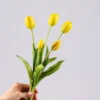 y4 yellow