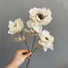 ดอกโบตั๋นสดใส 3 ดอก