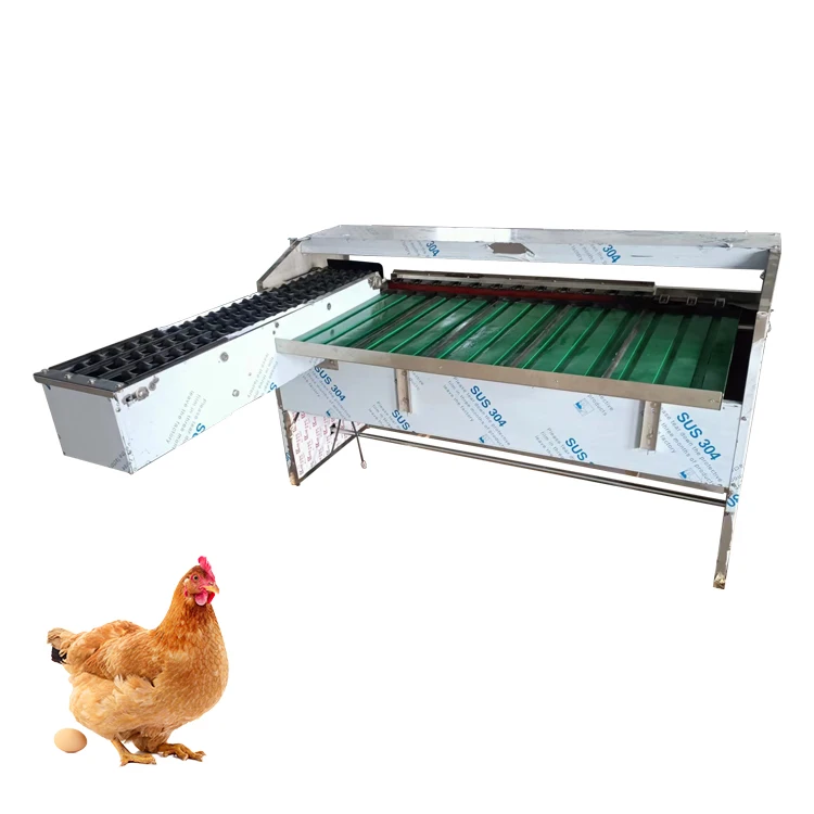 Egg Grader Cost Egg Grading Machine Price Egg Grader