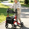 walking aid