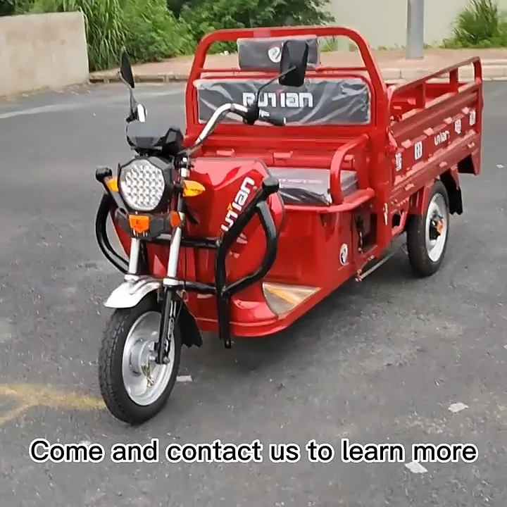 Best Price Petrol Tricycle Three Wheel Cargo Bike 3 Electric Pedicab