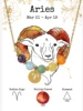 NE240213-1 Aries