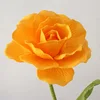 สีส้ม