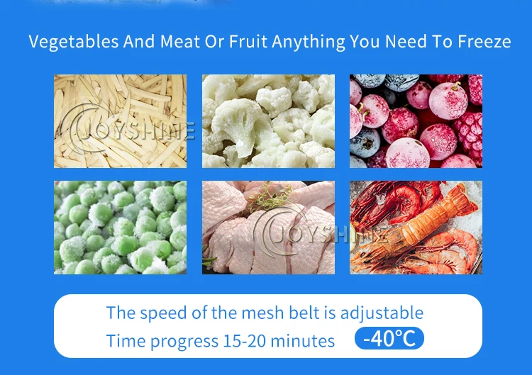 Blast Freezer, 220V, -40° - detail 8