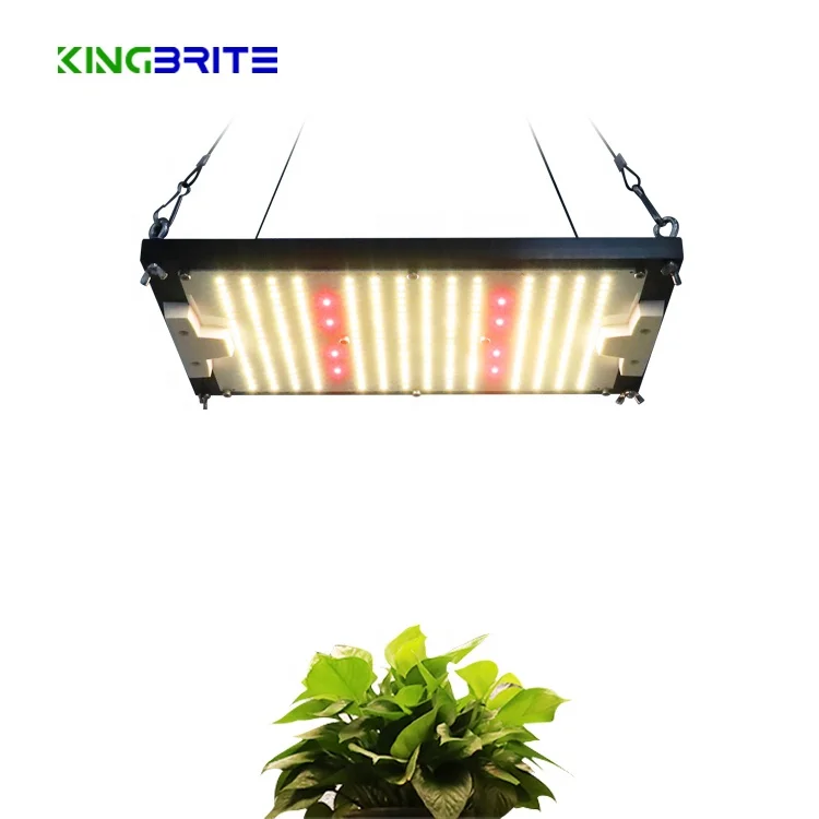 kingbrite 120w