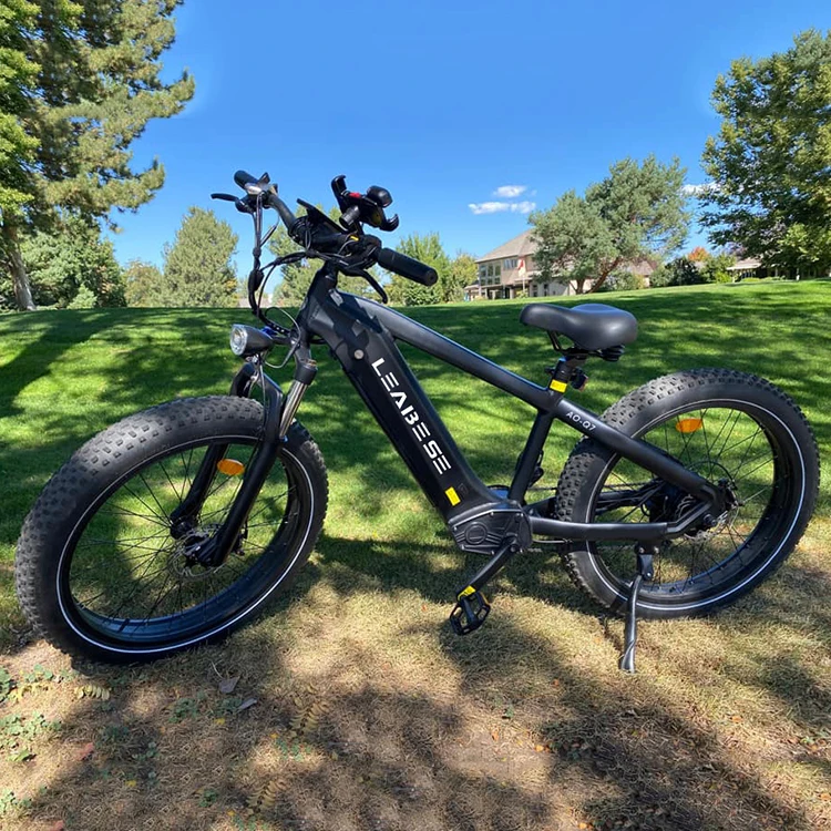 Retro Style Bicicleta Electrica 750W Mid Drive E-Bike 48V High