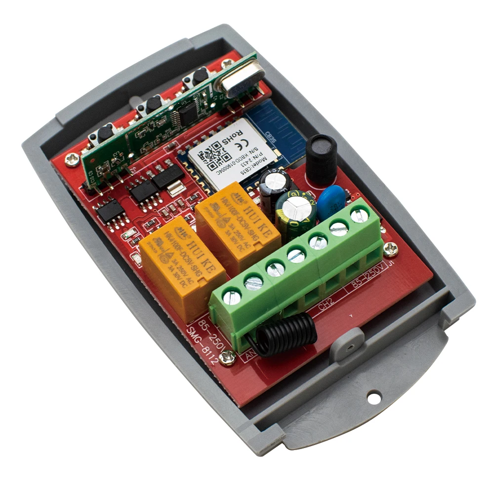 Tuya Garagedeuropener Poort Ontvanger 2ch 433 mhz 433.92 mhz Universele Vaste Rolling Code Multi Merk Controller Schakelaar (Color : RFB for RecevierX1