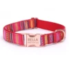 Collar Red