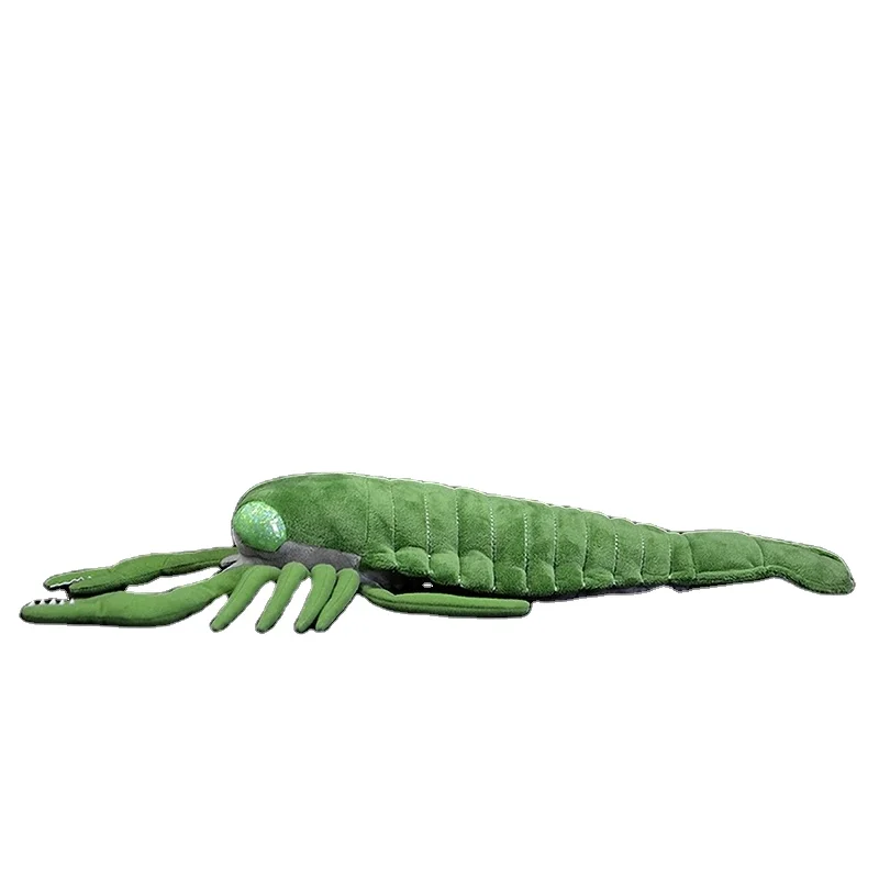 Simulated Pterygotus Plush Toy Real Life Cambrian Period Creature Stuffed  Animal Toy Prehistoric Ocean Scorpions Gifts - Buy Simulated Pterygotus  Plush Toy,Cambrian Period Creature Stuffed Animal,Prehistoric Ocean  Scorpions Product on 